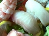 Yellowtail Amberjack